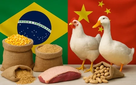 Brasil e China: Abertura de Novos Mercados e Oportunidades de US$ 20 Bilhões