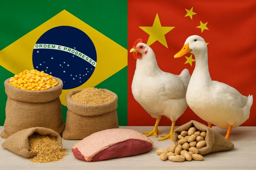 Brasil e China: Abertura de Novos Mercados e Oportunidades de US$ 20 Bilhões