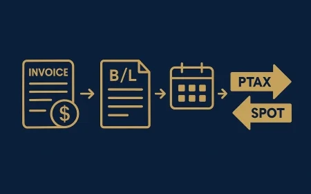 Termo de câmbio: passo a passo